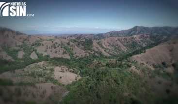 Deforestación, miles de árboles enfermos, ríos secos o disminuidos