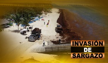 INVASIÓN DE SARGAZO