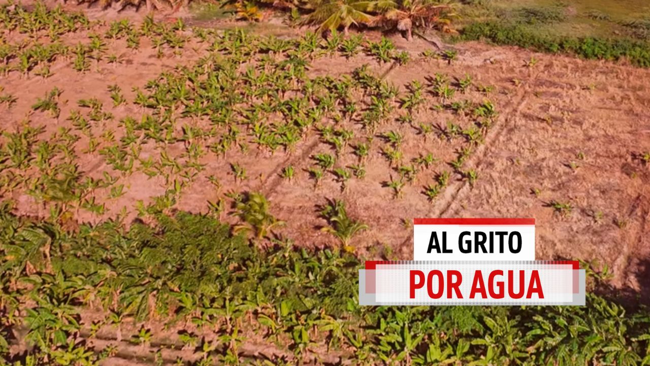 AL GRITO POR AGUA